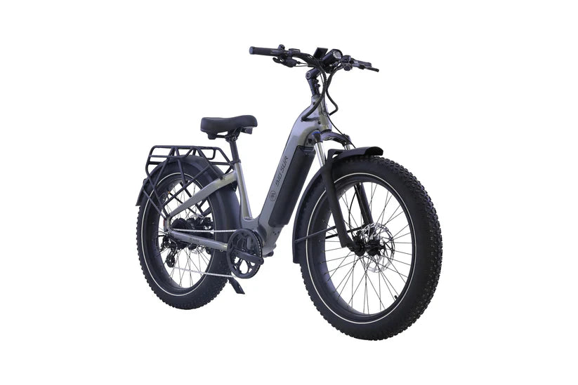 Big Sur 2.0 Ebike