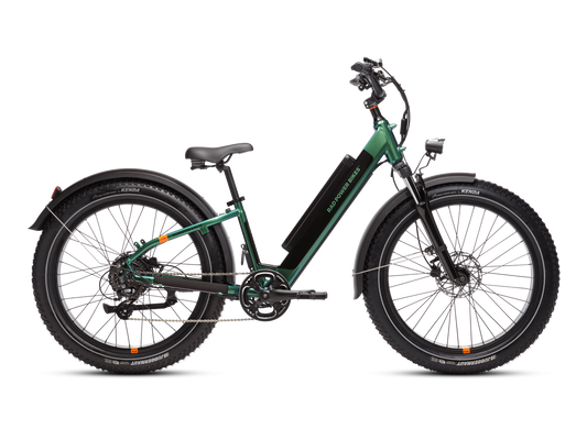 RadRover™ 6 Plus Electric Fat Tire Bike