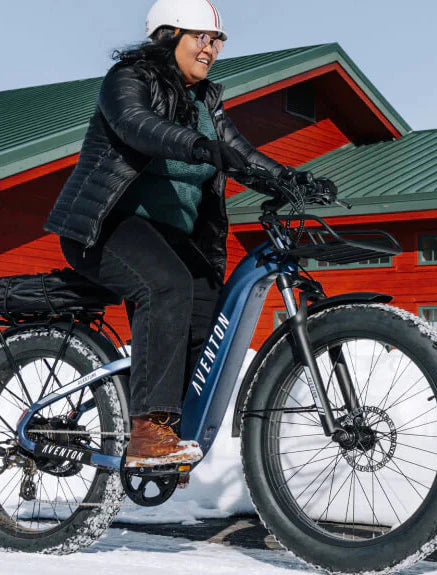 Aventure.2 Step-Through Ebike