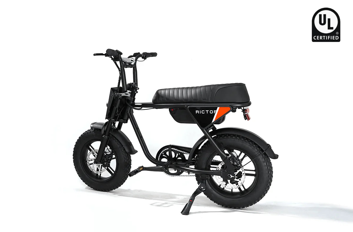 Rictor Flexx Smart Ebike