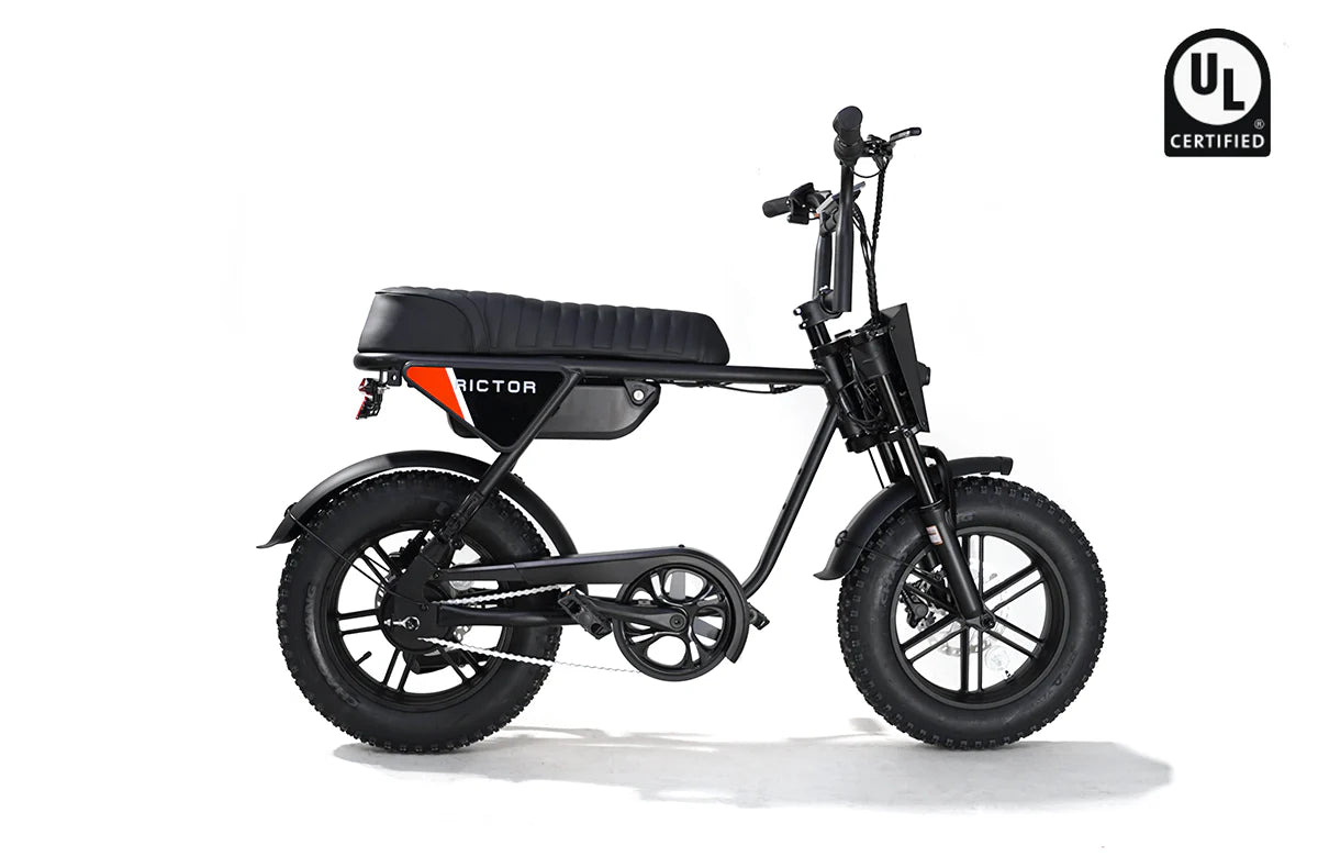 Rictor Flexx Smart Ebike
