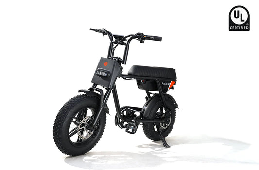 Rictor Flexx Smart Ebike