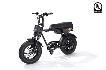 Rictor Flexx Smart Ebike