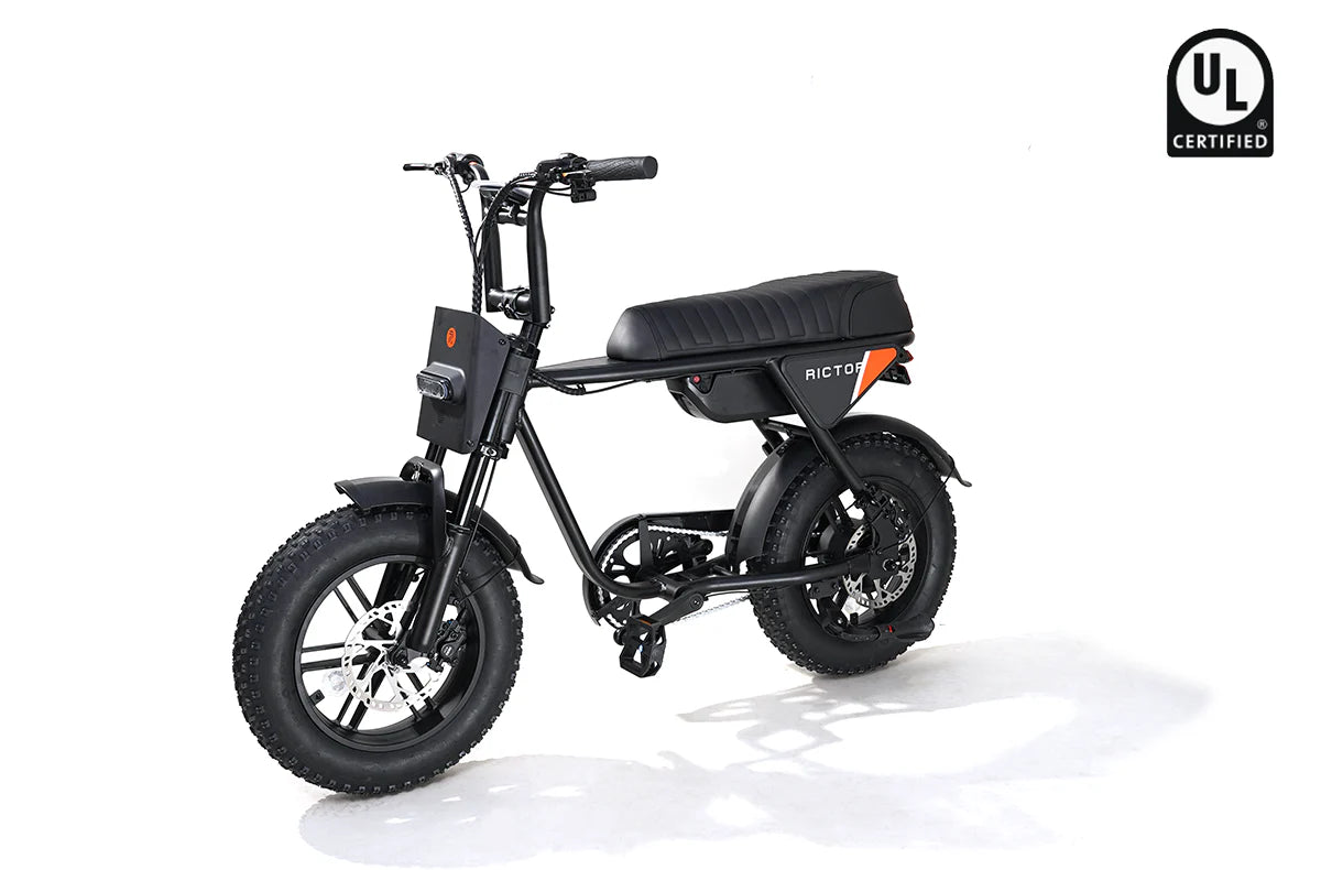 Rictor Flexx Smart Ebike