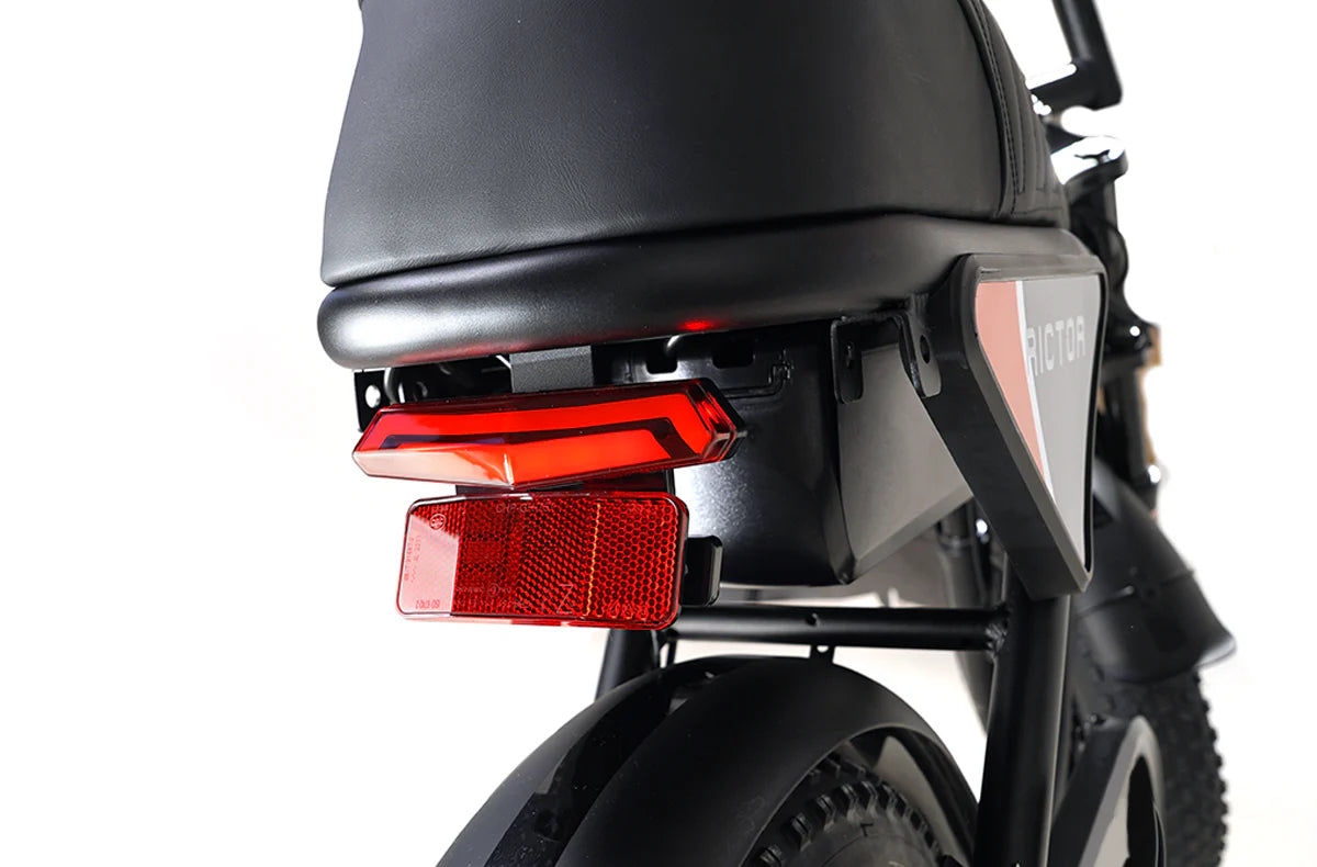 Rictor Flexx Smart Ebike