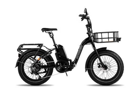 RadExpand™ 5 Electric Folding Bike