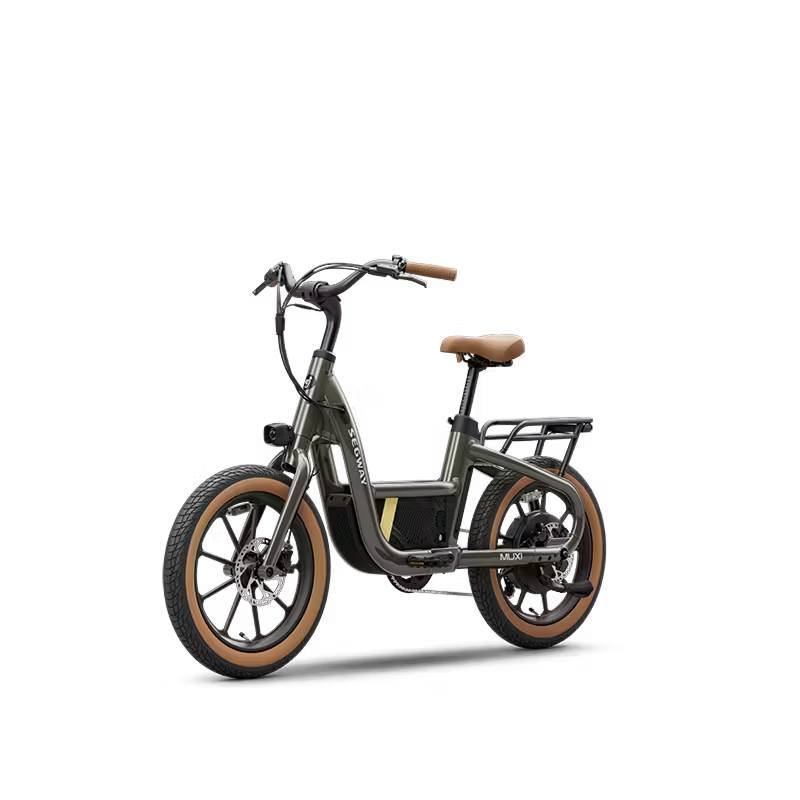 Segway Muxi Electric Bike