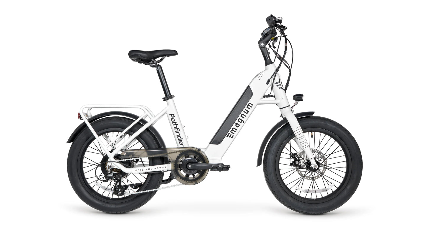 Pathfinder Electric Bike  36v13ah - 350W