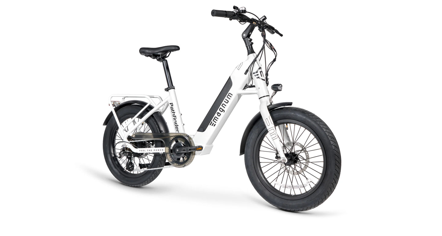 Pathfinder Electric Bike  36v13ah - 350W