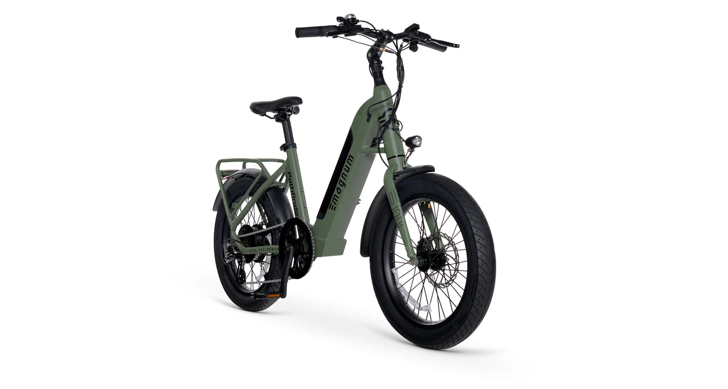 Pathfinder Electric Bike  36v13ah - 350W