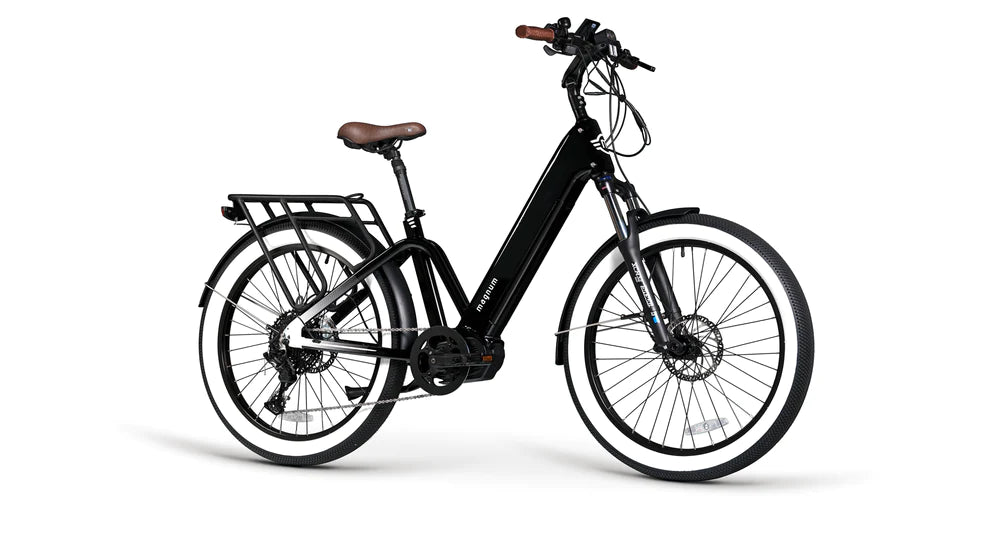 Pilot MD Ebike