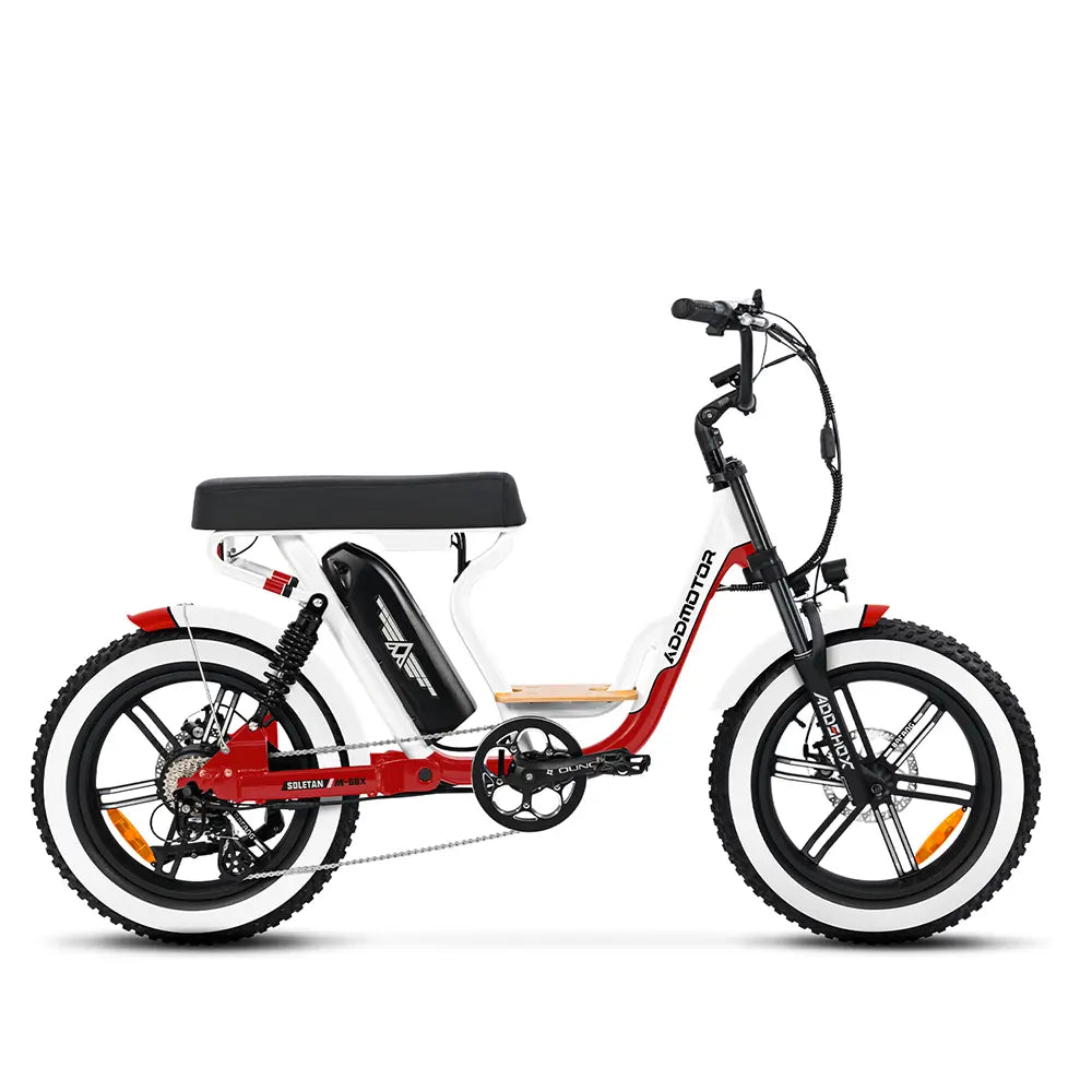 SOLETAN M-66X Full Suspension Cruiser E-bike