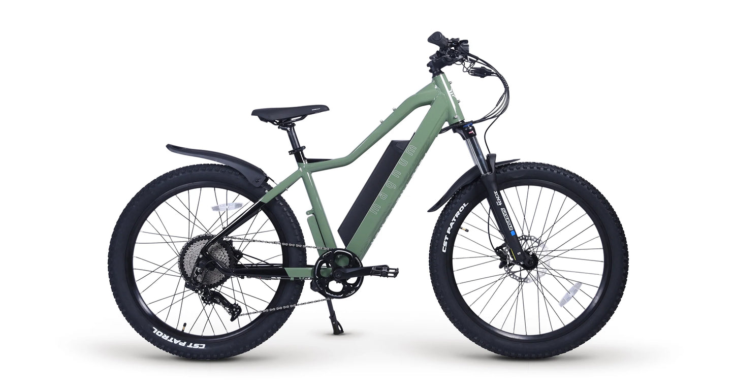 Peak T7 Electric Bike  750W - 20AH