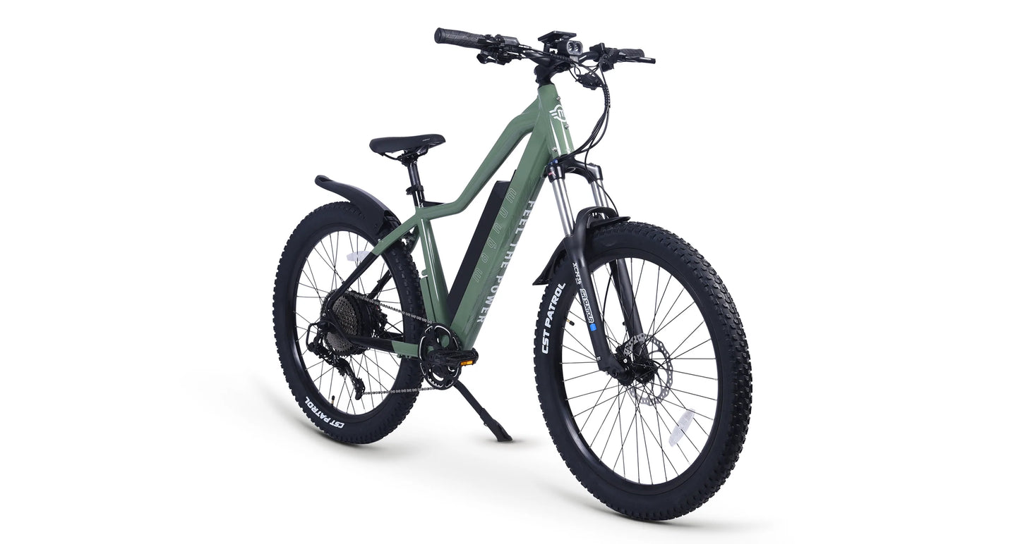 Peak T7 Electric Bike  750W - 20AH